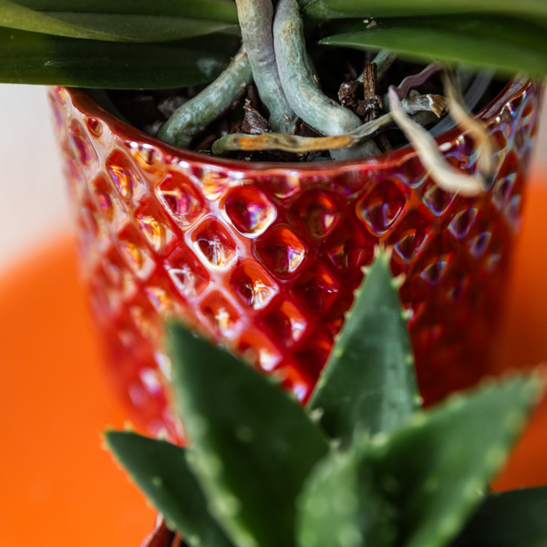 Diamant Perle Dekotopf – Rot – Ø9cm – Keramik Übertopf aus der Colourful Optimism Kollektion